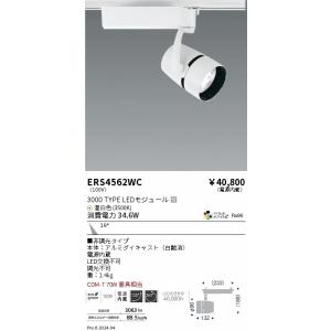 遠藤照明 ERS4562WC ＣＯＢスポット／３０００タイプ／アパレルＷ３５００Ｋ／中角