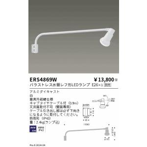TOSHIBA（東芝） ミニクリX T形 長寿命形 E17口金 60W形