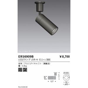 遠藤照明 LEDスポットライト ERS6909B ※電球別売