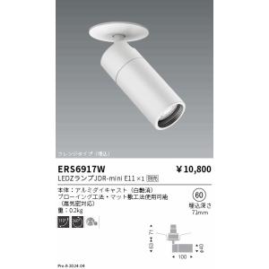 遠藤照明 LED スポットライト ERS6369WA ランプ別売 プラグライプ