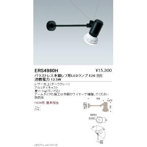 遠藤照明 LEDペンダントライト XRP6079UB 工事必要 電球別売 : ライト