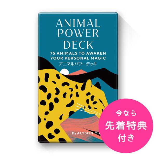 アニマルパワーデッキ （ 日本語解説書付き オラクルカード アリソン・チャールズ ）