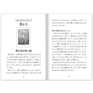 セイクレッドデスティニーオラクル ( 日本語解...の詳細画像2