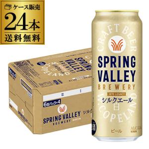 キリン（KIRIN） グッドエール GOOD ALE 500ml×48本 (24本×2ケース