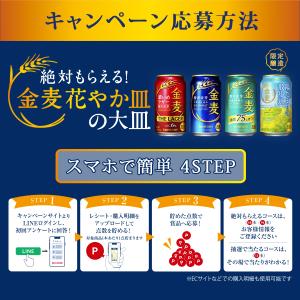 数量限定 サントリー 金麦 陽だまりの散歩道 ...の詳細画像2