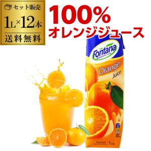 Minute Maid コカ・コーラ ミニッツメイド アップル 100% 1L紙パック×6