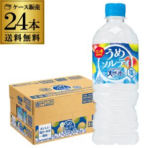 サントリー天然水 うめソルティ 540ml 24本 1ケース 送料無料 梅 ウメ 塩 水分補給 熱中症 対策 水 ドリンク ウォーター PET RSL｜ビアーザワールドYahoo!店