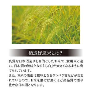日本酒 越乃姫椿 純米大吟醸 720ml 無濾...の詳細画像4