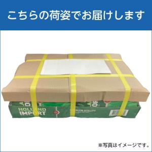 賞味2026/8の訳あり シンハー ビール 3...の詳細画像4