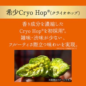 ビール キリン グッドエール GOOD ALE...の詳細画像5