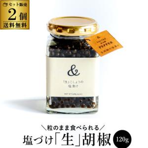 塩漬け 生胡椒 120g×2個 240g 送料無料 カンボジア産 オーガニック 塩 胡椒 こしょう ペッパー 虎S