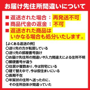 送料無料 戸田屋 市田柿フロマージュ200g×...の詳細画像2
