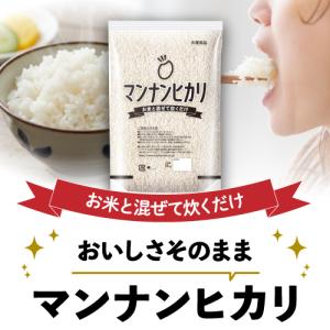 送料無料 マンナンヒカリ 大塚食品 業務用 1...の詳細画像1