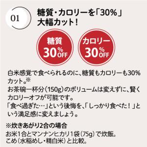 送料無料 マンナンヒカリ 大塚食品 業務用 1...の詳細画像3