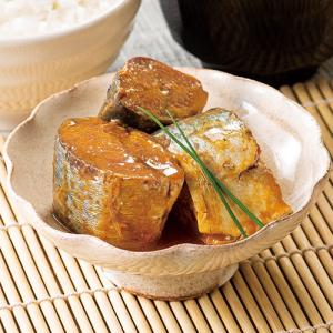 極洋 さばみそ煮 160g 24缶 国産 キョ...の詳細画像1