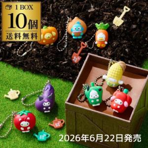 (予約)2026/6/22より順次発送 バンダイ サンリオキャラクターズ ベジタブルビスケット＆チャーム 10個 サンリオ BOX販売 虎S｜リカマンYahoo!店