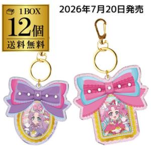 【商品入れ替えのため4,270円→3,700円 アウトレット】全種揃う バンダイ 名探偵プリキュア！ パチパチプリキュア デコネーム 12個 虎S