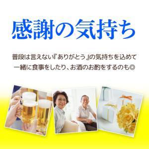 倉庫入れ替えの訳あり 在庫処分 アウトレット ...の詳細画像3