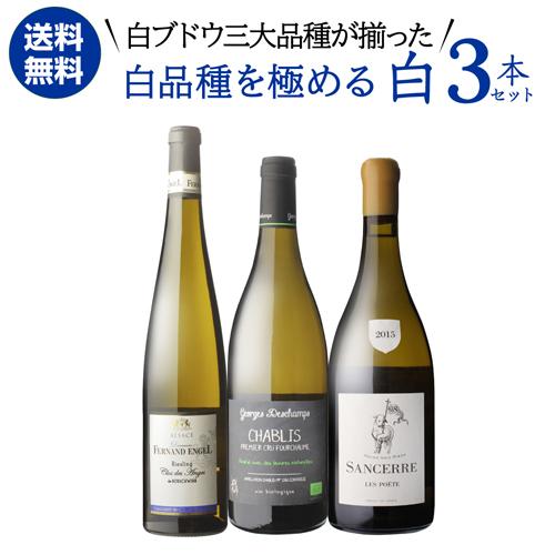 ワインセット 1本あたり3,667 円(税込) 送料無料  白品種を極める 三大品種 白ワイン 3本...