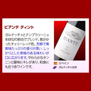 ワイン ワインセット 赤セット 世界のぶどう飲...の詳細画像1