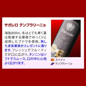 ワイン ワインセット 赤セット 世界のぶどう飲...の詳細画像2