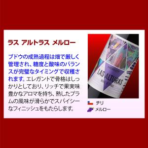 ワイン ワインセット 赤セット 世界のぶどう飲...の詳細画像5