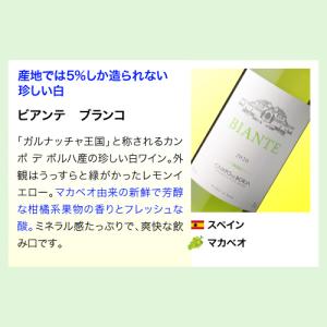 ワイン ワインセット 白セット 世界のぶどう飲...の詳細画像1