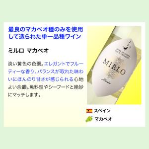 ワイン ワインセット 白セット 世界のぶどう飲...の詳細画像2