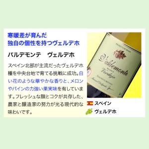 ワイン ワインセット 白セット 世界のぶどう飲...の詳細画像3