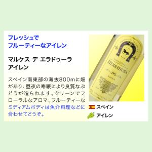ワイン ワインセット 白セット 世界のぶどう飲...の詳細画像4