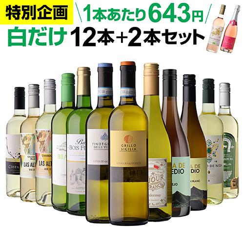ワイン ワインセット 白セット 送料無料 白だけ 特選ワイン 12本＋2本 計14本セット 白ワイン...
