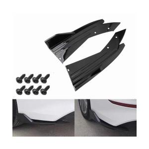 AMSECHS アムゼックス セレクション カナード（カラー：ピアノブラック