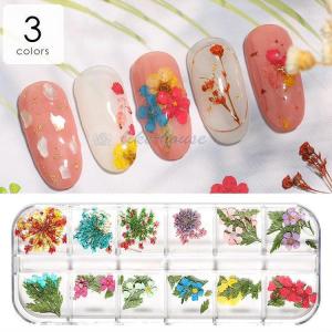 押し花ネイルシール ネイルシール の商品一覧 ネイルアート ネイル コスメ 美容 ヘアケア 通販 Yahoo ショッピング