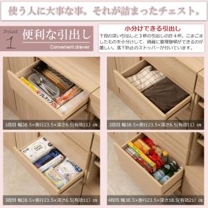 キッチンシリーズ Marine カウンター下収...の詳細画像4