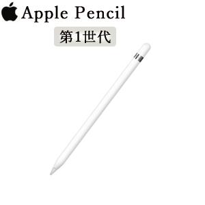 Apple Pencil 第１世代 USB-C 新品未開封 Apple Pencilアダプタ付属 A...
