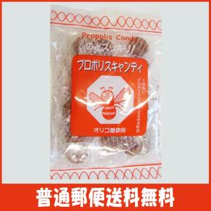 のど飴 プロポリスキャンディー 100g ソーキ プロポリス キャンディ 正規品 普通郵便送料無料