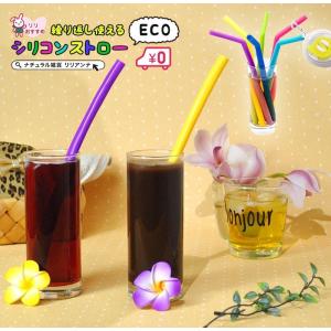 シリコンストロー エコ ECO 携帯 専用ブラシ＆ケース付き持続可能な社会の実現