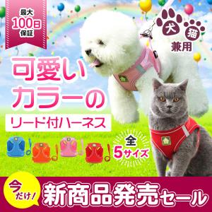ハーネス 犬 おしゃれ かわいい 胴輪 リード 首輪 小型犬