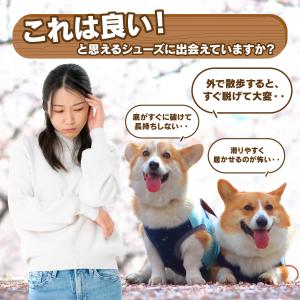 犬 靴 犬靴 靴下 犬の靴 散歩 犬用靴 ドッ...の詳細画像4