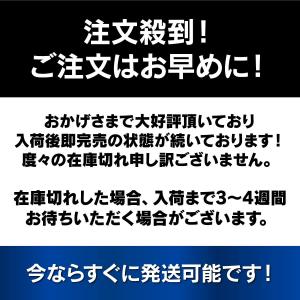 扁平足サポーター 偏平足 サポーター 土踏まず...の詳細画像5