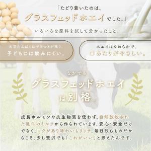 こどもプロテイン ジュニアプロテイン 栄養機能...の詳細画像3
