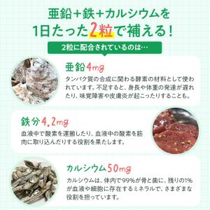 鉄&亜鉛 【小児科医師と開発】人工甘味料不使用...の詳細画像4