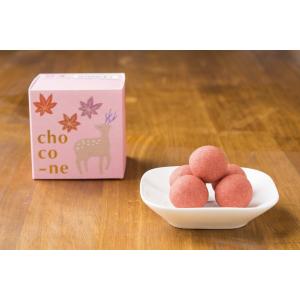 choco-ne ショコネ いちご(あすかルビー)