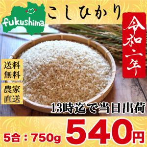 米 お米 750g 送料無料 コシヒカリ 5合 ポイント消化 白米 福島県 郡山産 うるち米 精白米 ごはん