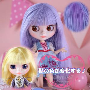 アイシードール 2体 おたのしみBOX ネオサイズ 着せ替え人形 ICY