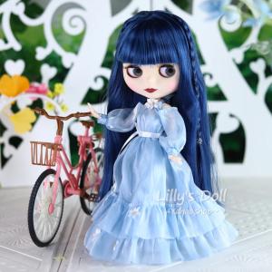 アイシードール ニューフェイス 可動ボディ 1/6ドール カスタムドール