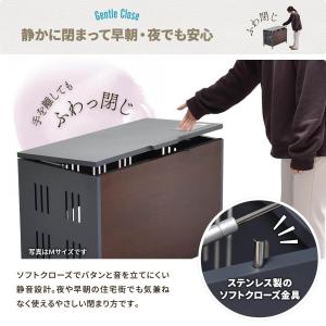 屋外ゴミ収納庫 110L 屋外ゴミ箱 屋外 ゴ...の詳細画像4