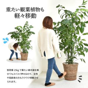 プランター台 キャスター プランターベース 観...の詳細画像3