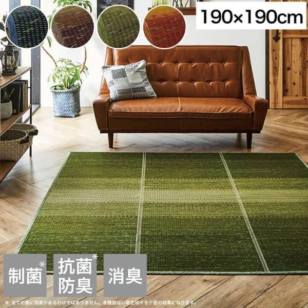 い草 ラグ カーペット 夏 小林製薬 KOBA-GUARD 制菌 リビング 天然素材 涼しい お手入...