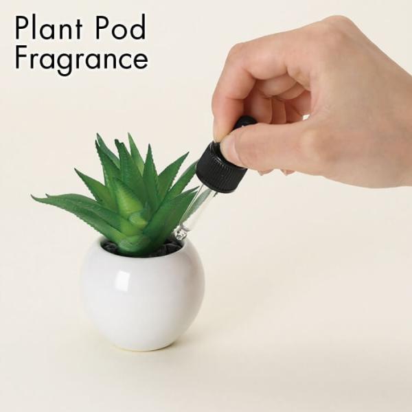 プラントポッド ルームフレグランス インテリア雑貨 おしゃれ 生活雑貨 置き型 造花 観葉植物 日用...